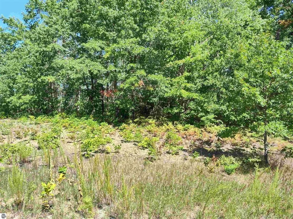Circle E Surrey Township, MI 48622