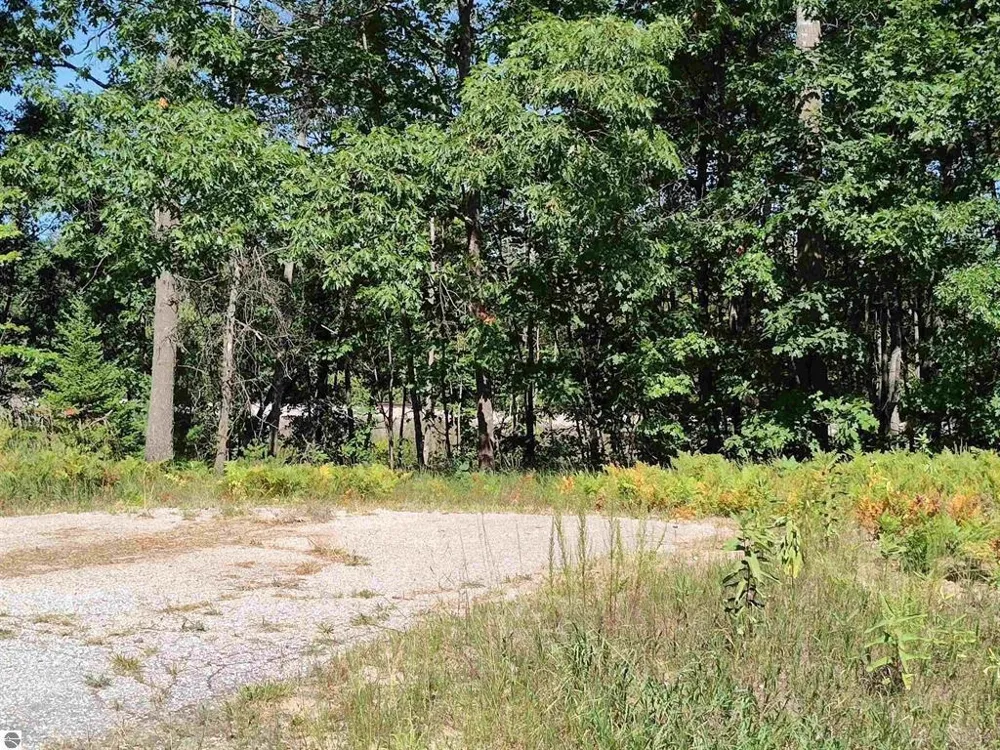 Circle E Surrey Township, MI 48622