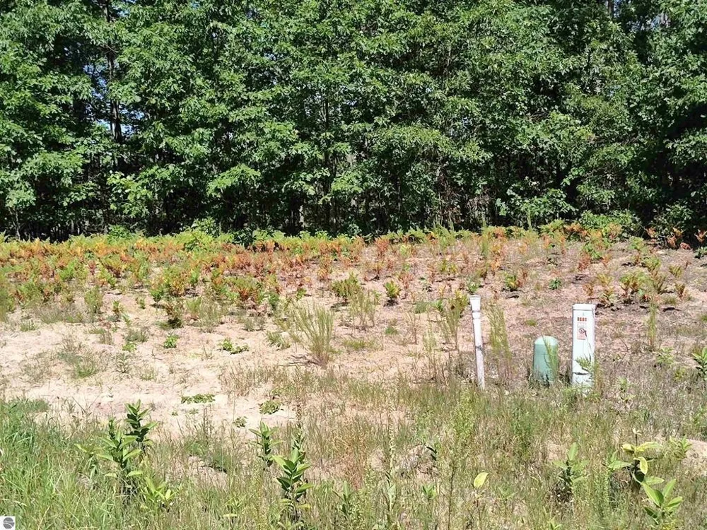 Circle E Surrey Township, MI 48622