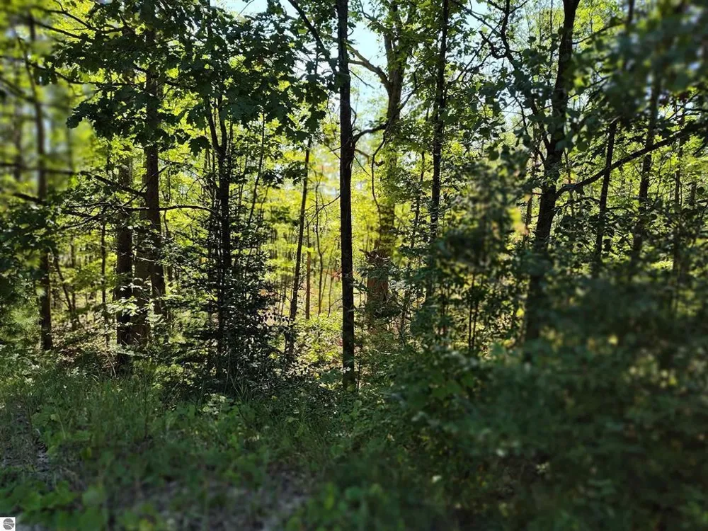Circle E Surrey Township, MI 48622