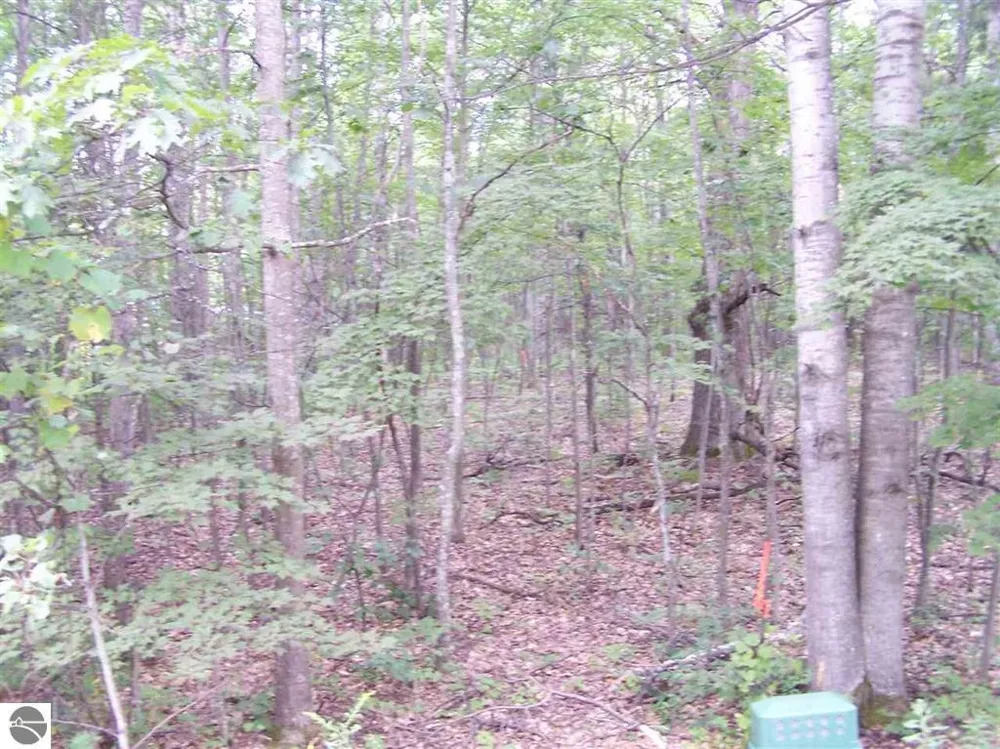 Circle E Surrey Township, MI 48622
