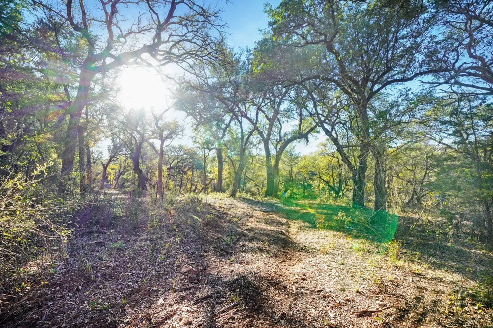 3061 Canyon Ranch Road Palo Pinto, TX 76484