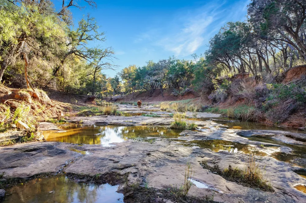 3061 Canyon Ranch Road Palo Pinto, TX 76484
