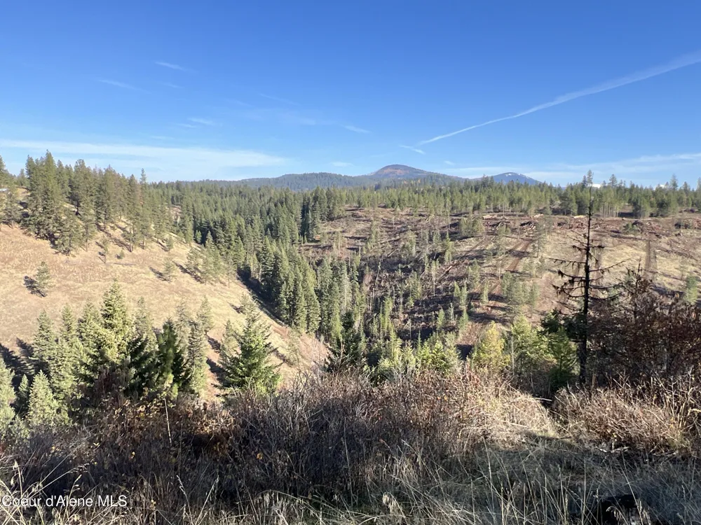 NKA State Hwy 3 St. Maries, ID 83861