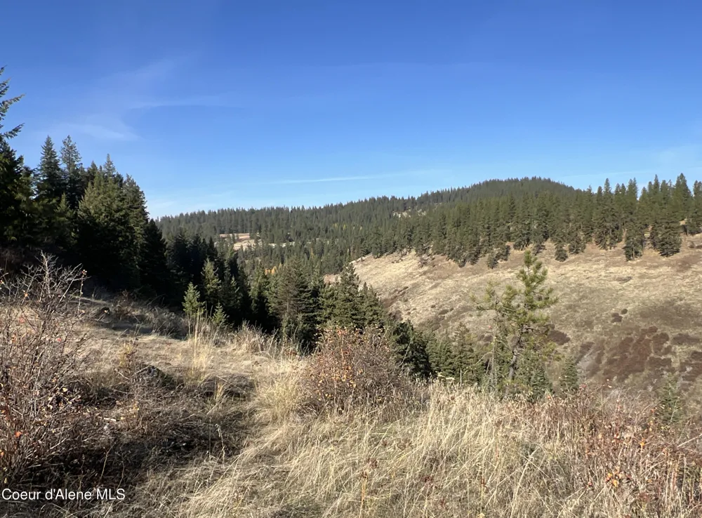 NKA State Hwy 3 St. Maries, ID 83861