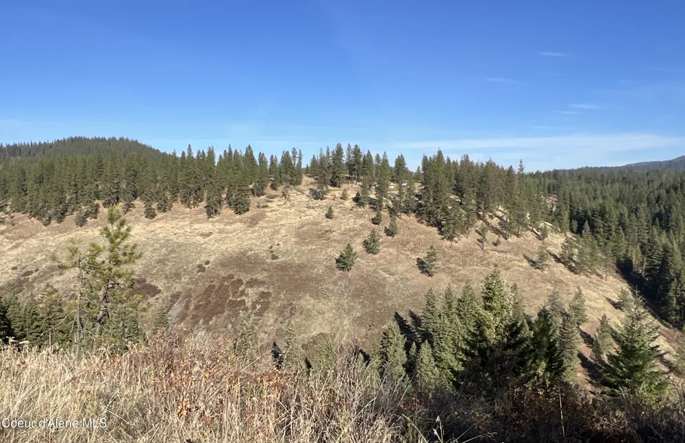 NKA State Hwy 3 St. Maries, ID 83861
