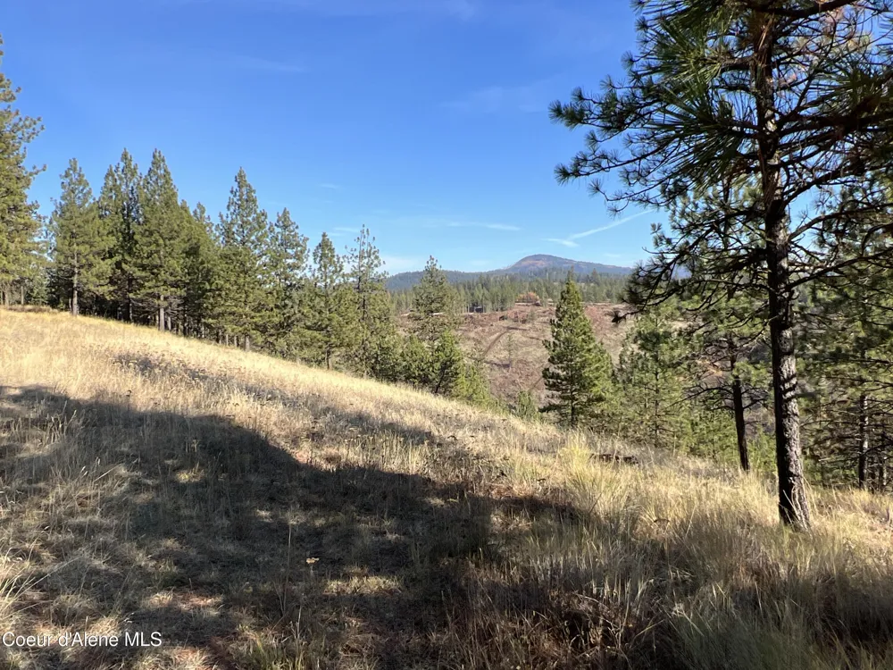 NKA State Hwy 3 St. Maries, ID 83861