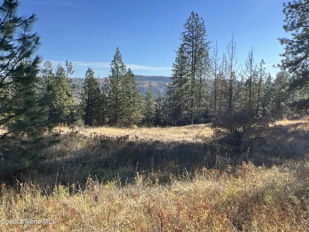 NKA State Hwy 3 St. Maries, ID 83861