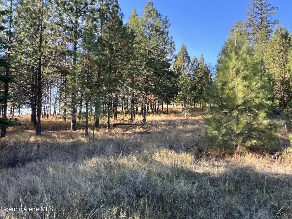 NKA State Hwy 3 St. Maries, ID 83861
