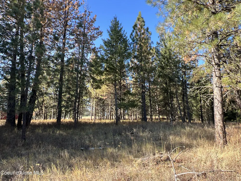 NKA State Hwy 3 St. Maries, ID 83861