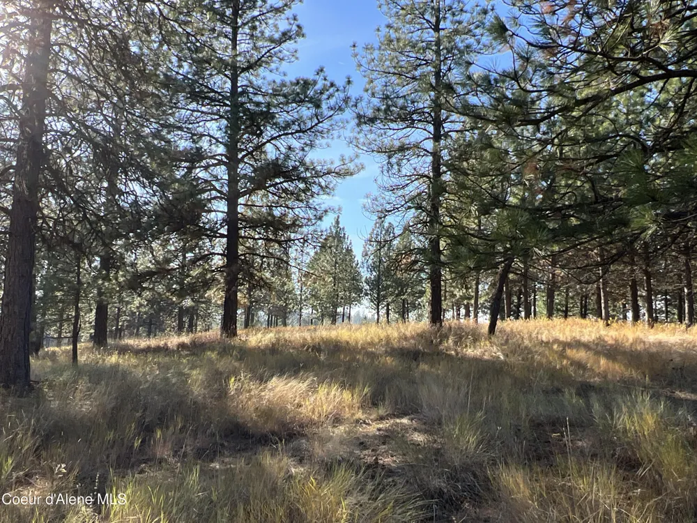 NKA State Hwy 3 St. Maries, ID 83861