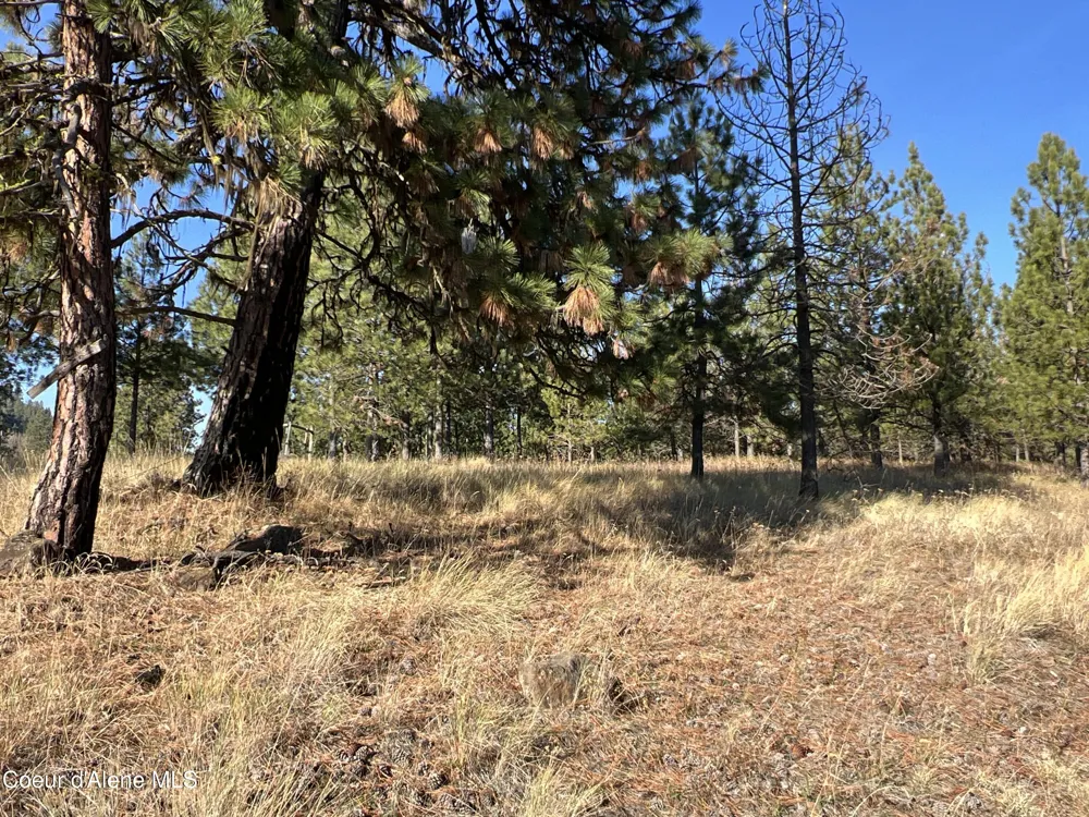 NKA State Hwy 3 St. Maries, ID 83861