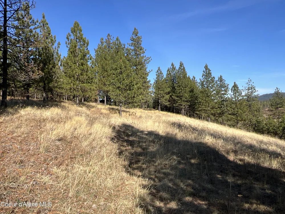 NKA State Hwy 3 St. Maries, ID 83861