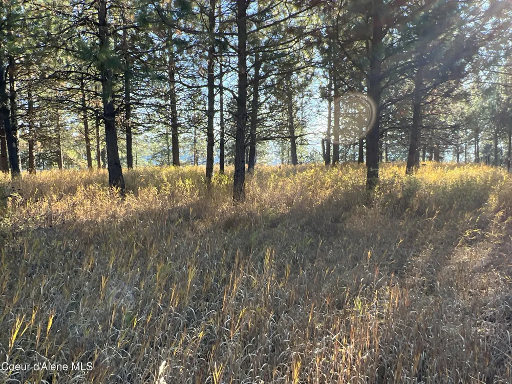 NKA State Hwy 3 St. Maries, ID 83861