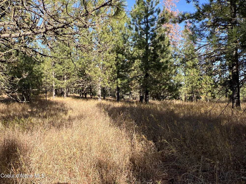 NKA State Hwy 3 St. Maries, ID 83861