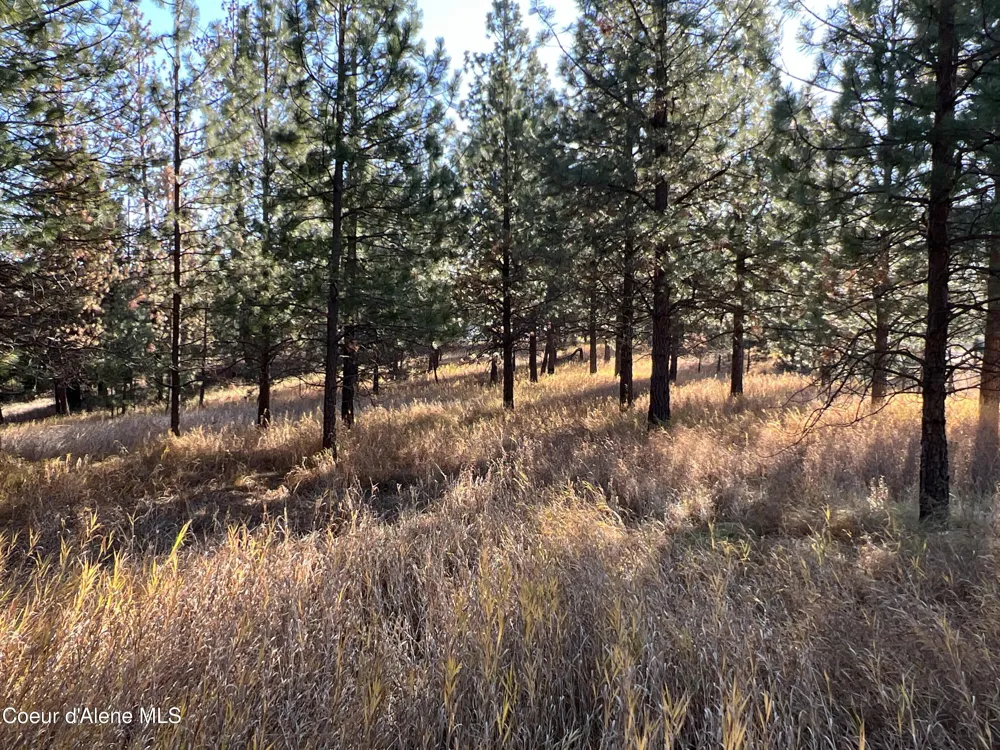 NKA State Hwy 3 St. Maries, ID 83861