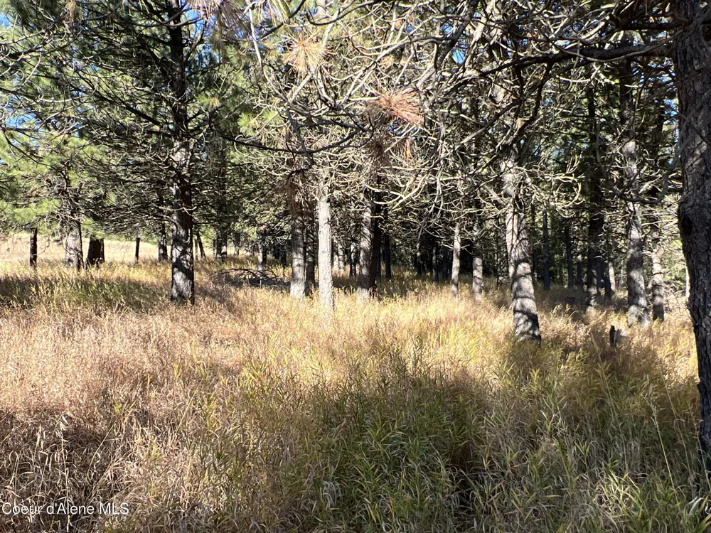 NKA State Hwy 3 St. Maries, ID 83861