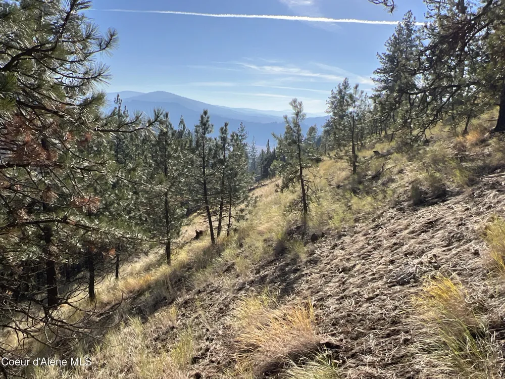 NKA State Hwy 3 St. Maries, ID 83861