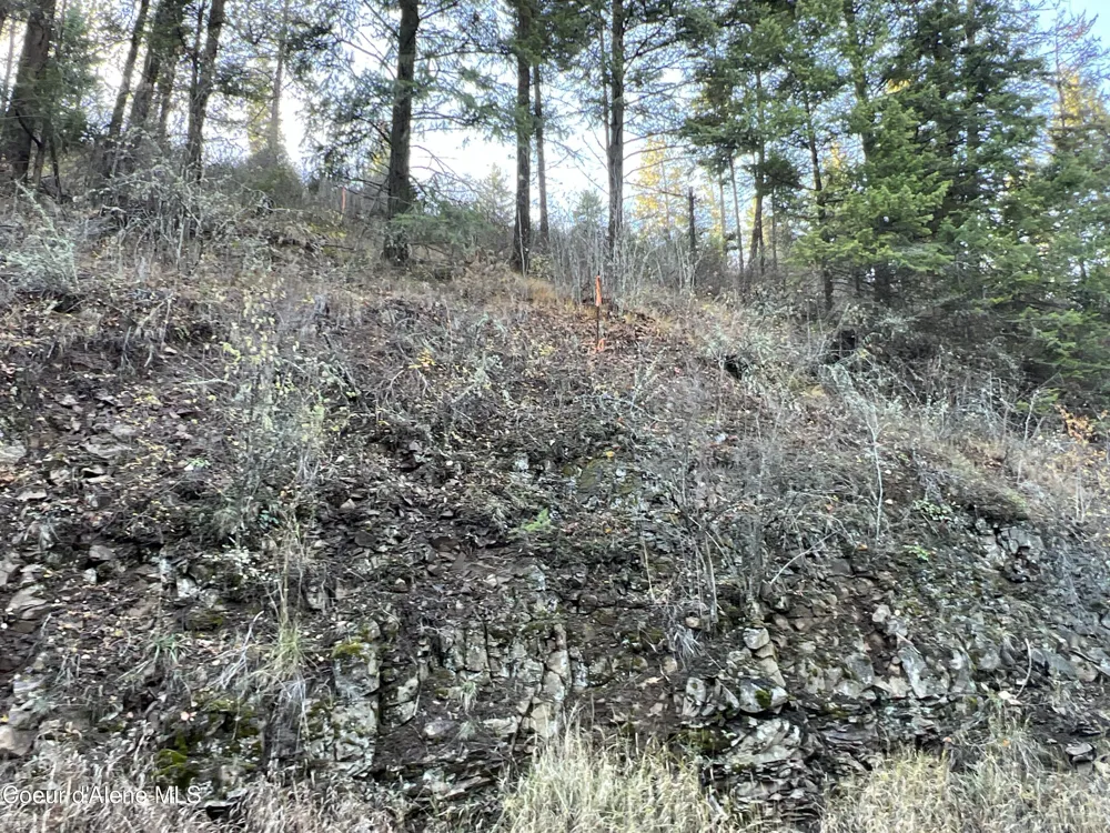 NKA State Hwy 3 St. Maries, ID 83861