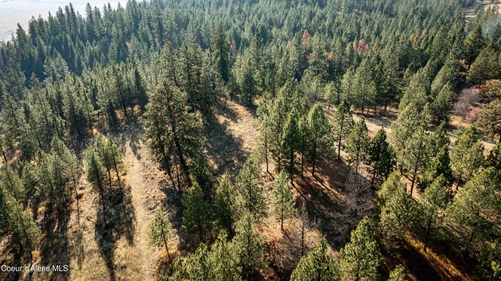 NKA State Hwy 3 St. Maries, ID 83861