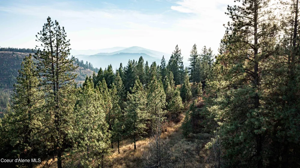 NKA State Hwy 3 St. Maries, ID 83861