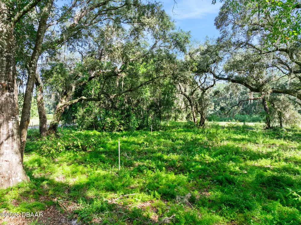 Roberts Road Pierson, FL 32180