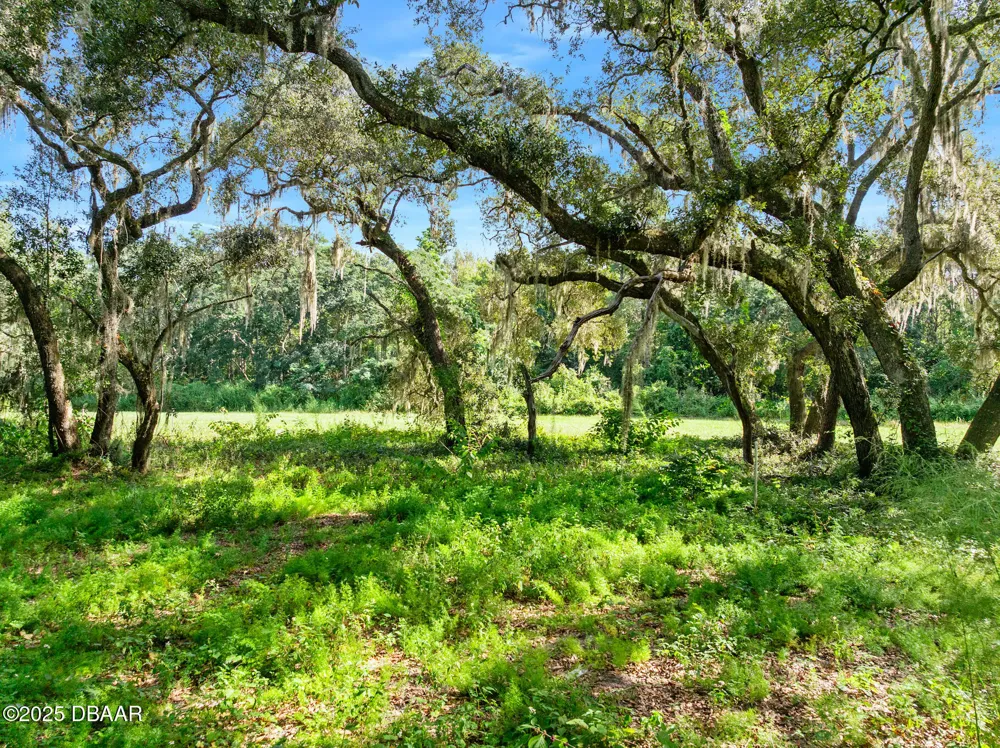 Roberts Road Pierson, FL 32180