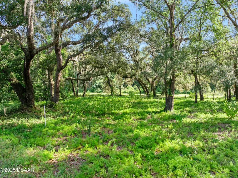 Roberts Road Pierson, FL 32180