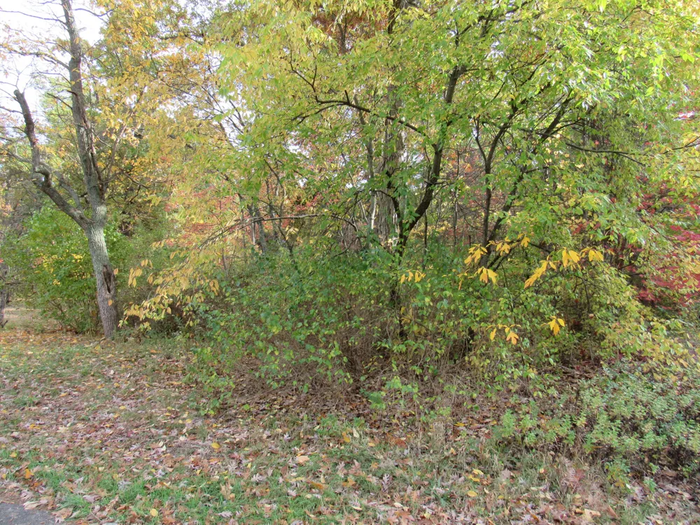 4015 Wilson Beach Road Twin Lake, MI 49457