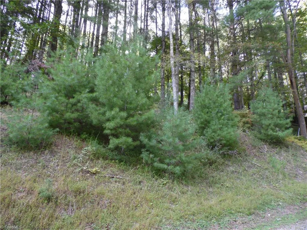 TBD Woodlands Drive Piney Creek, NC 28663