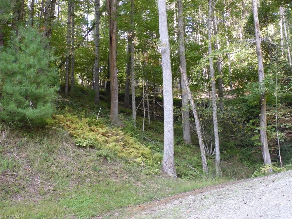 TBD Woodlands Drive Piney Creek, NC 28663