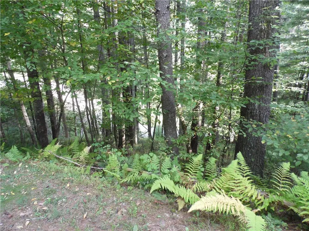 TBD Woodlands Drive Piney Creek, NC 28663