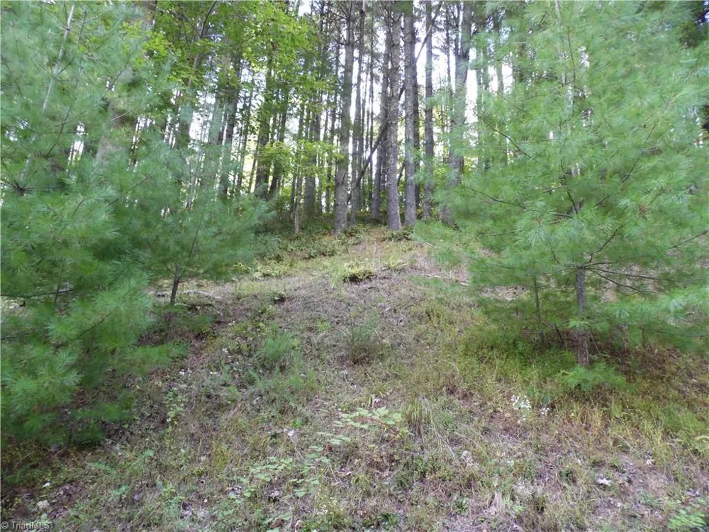 TBD Woodlands Drive Piney Creek, NC 28663