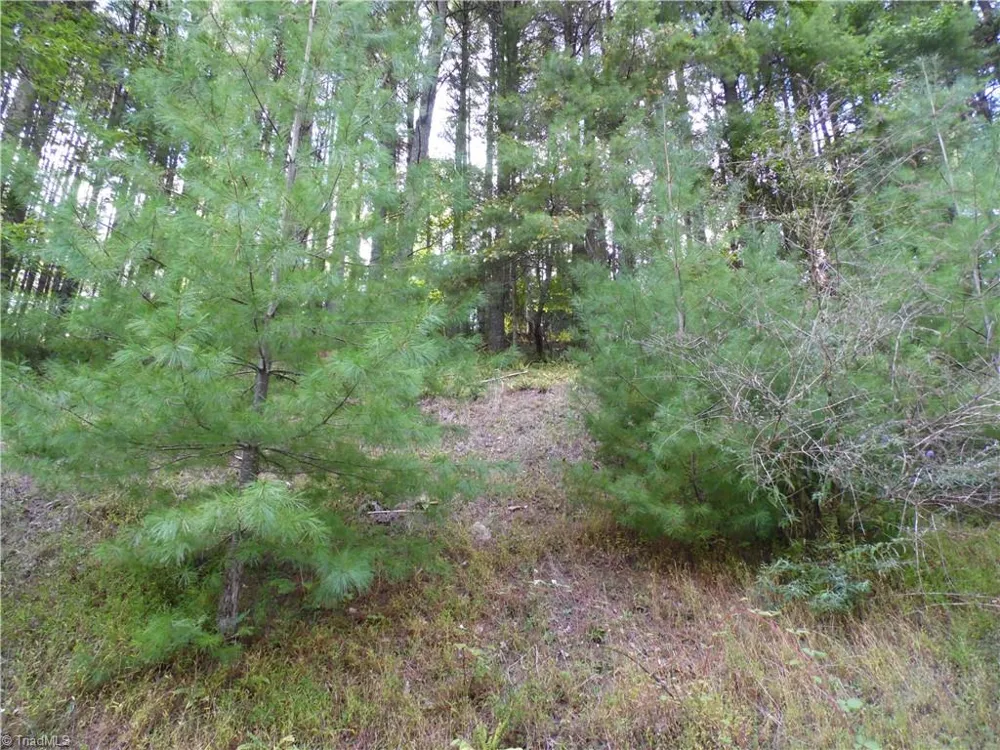 TBD Woodlands Drive Piney Creek, NC 28663