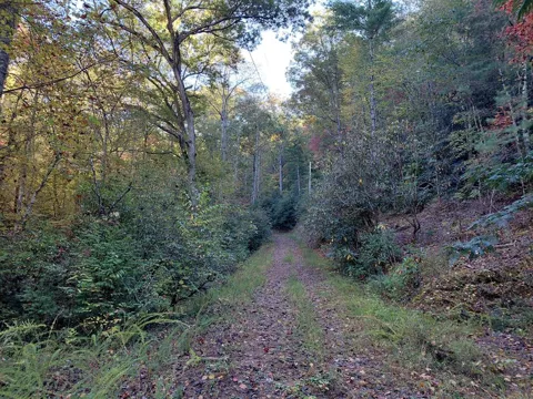 Foxfire Estates