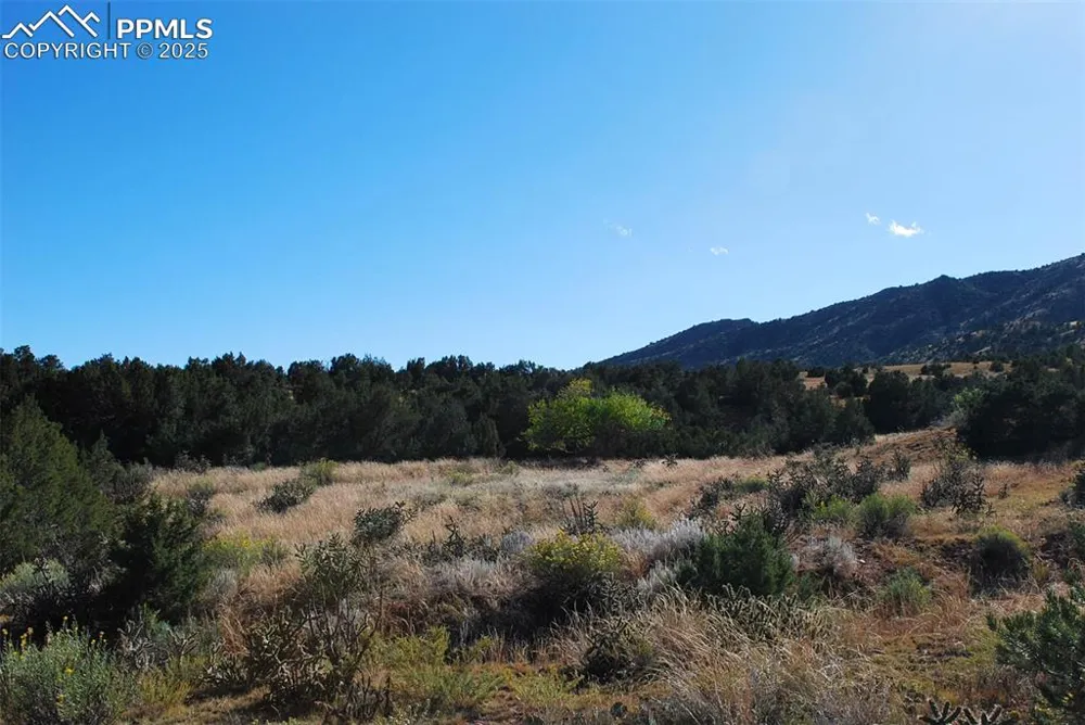 601 County Road 69 Canon City, CO 81212