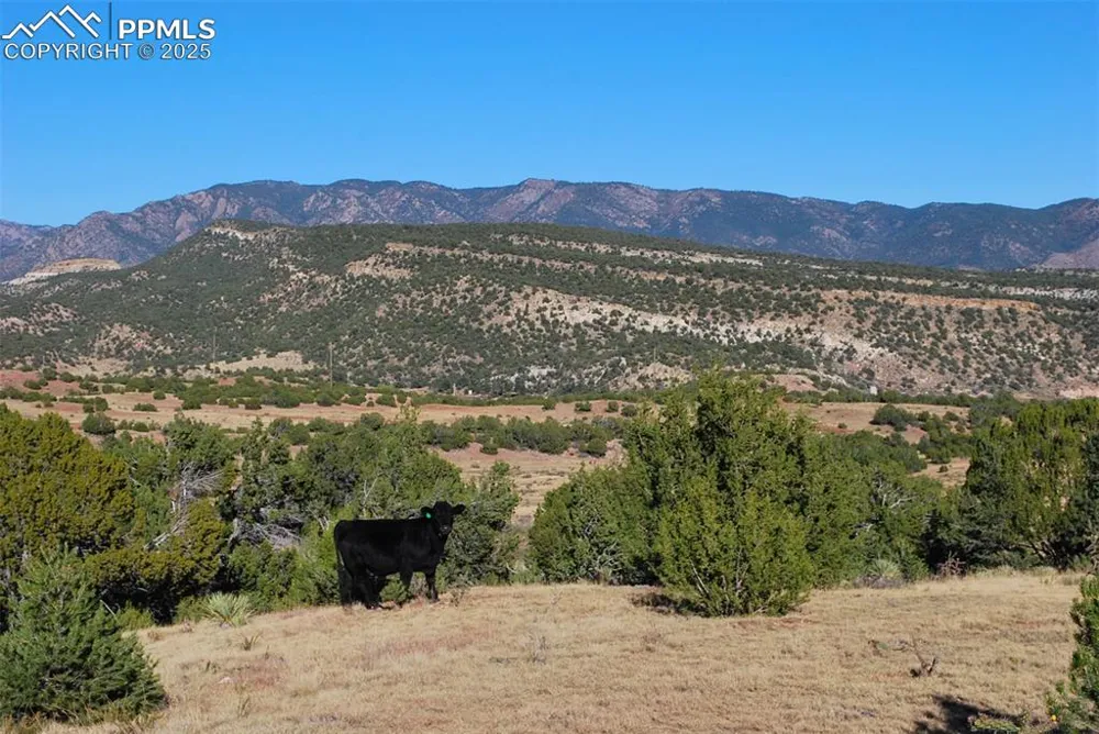 601 County Road 69 Canon City, CO 81212