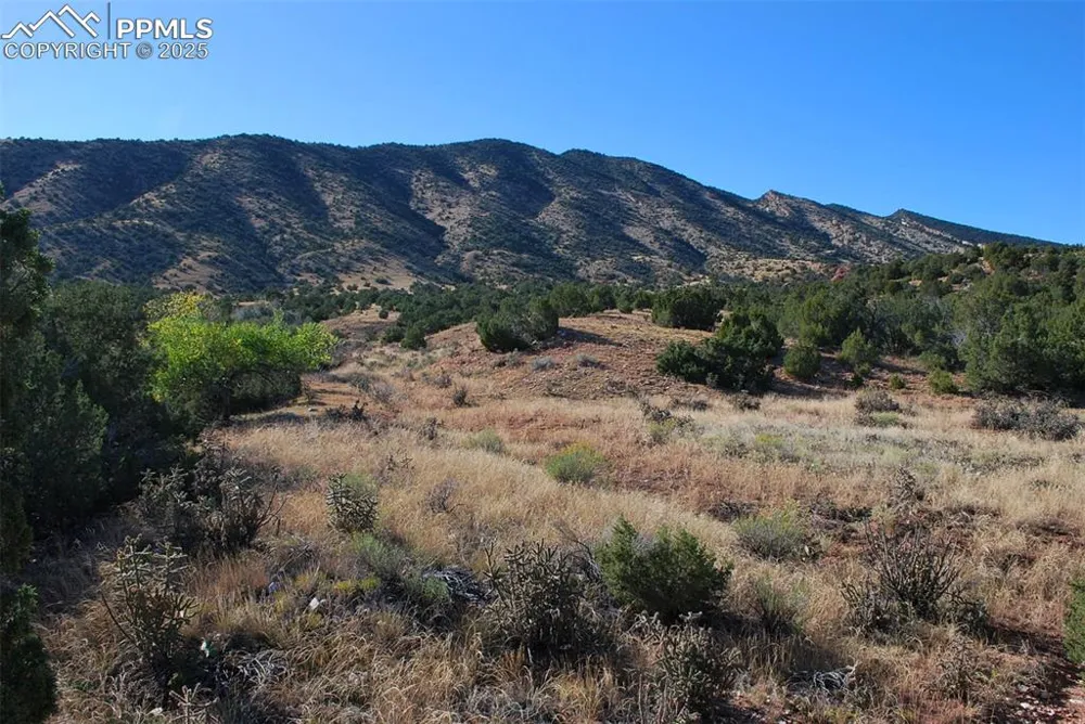 601 County Road 69 Canon City, CO 81212