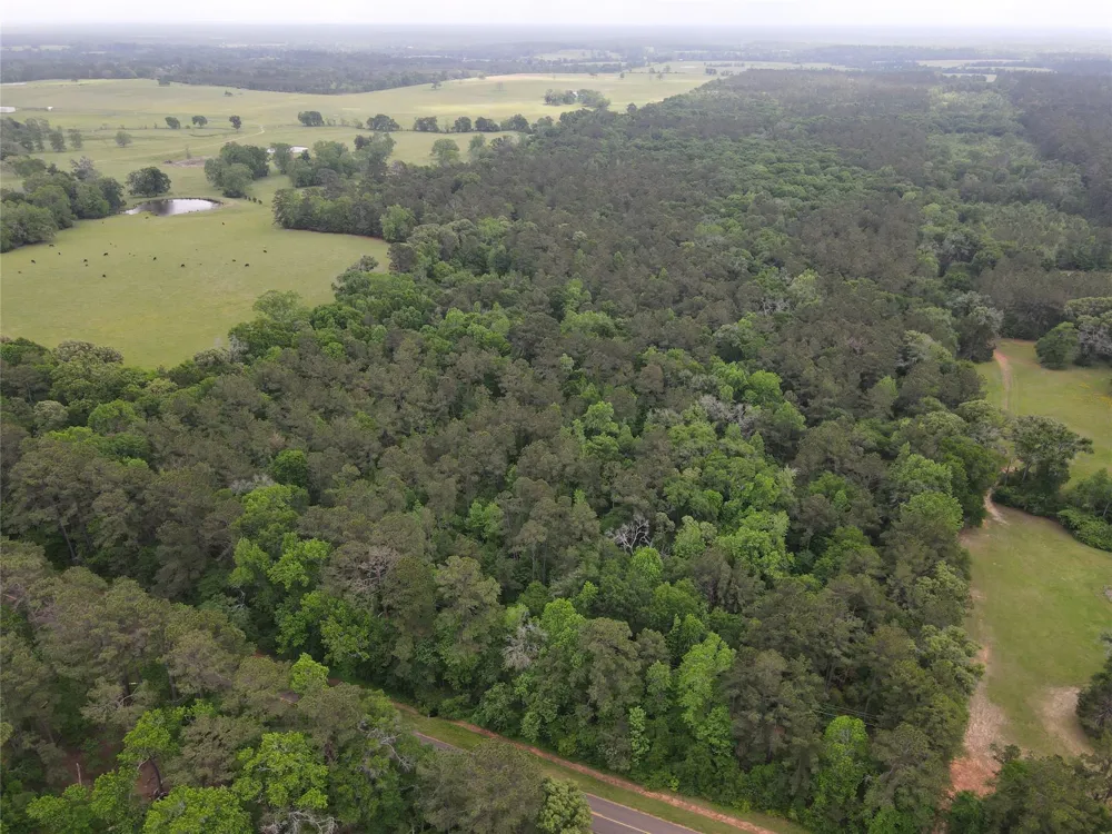 Fm 2110 Crockett, TX 75835