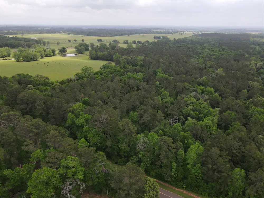 Fm 2110 Crockett, TX 75835