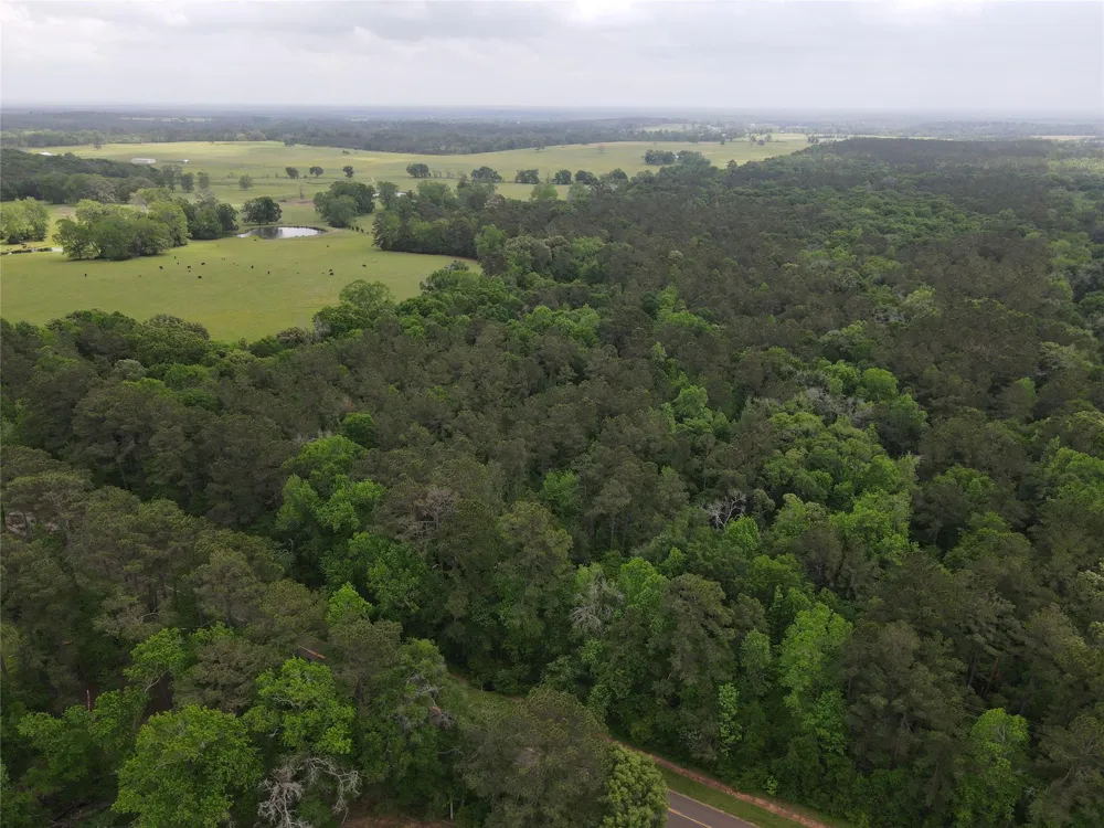 Fm 2110 Crockett, TX 75835