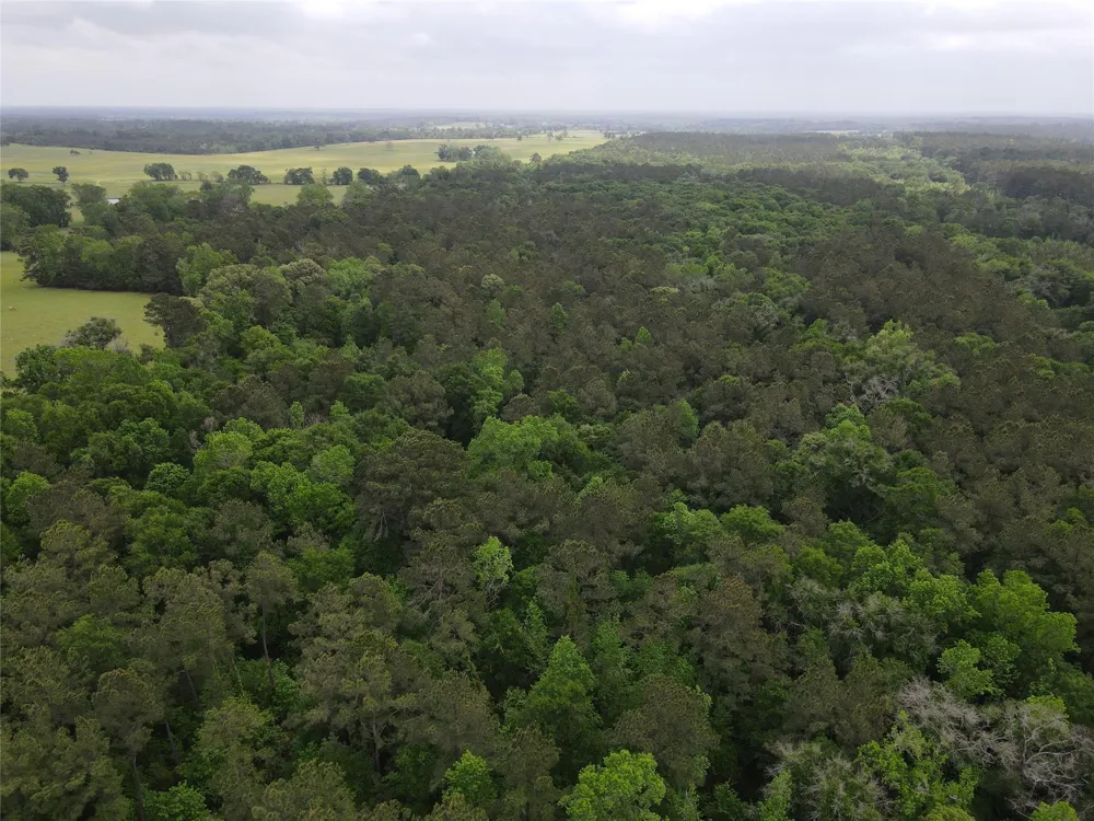 Fm 2110 Crockett, TX 75835