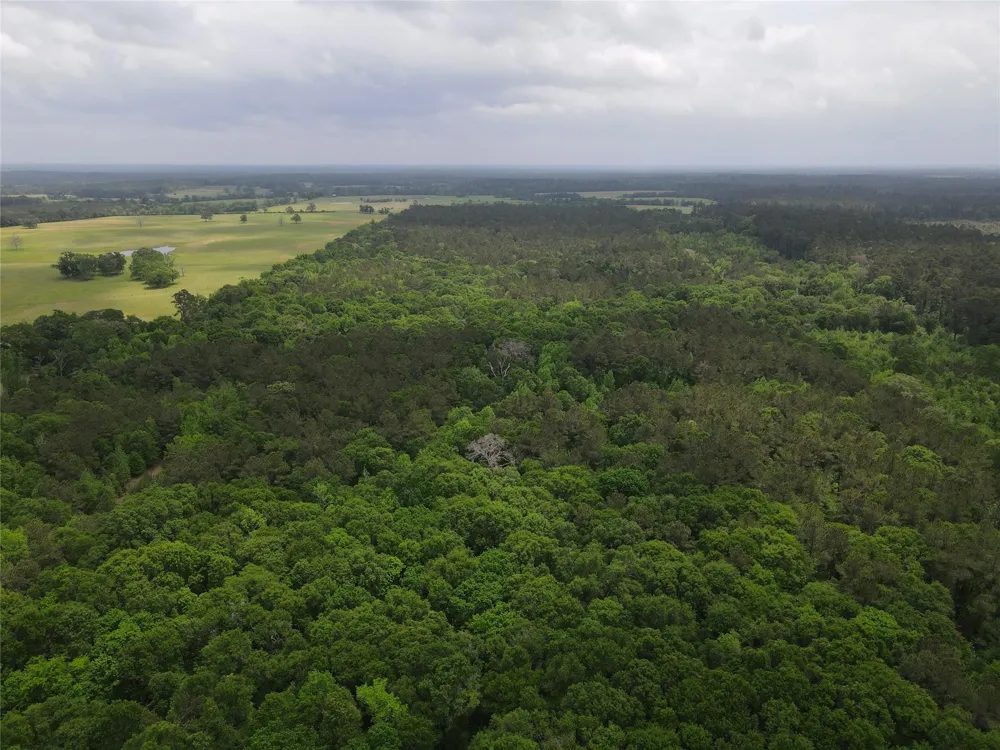 Fm 2110 Crockett, TX 75835