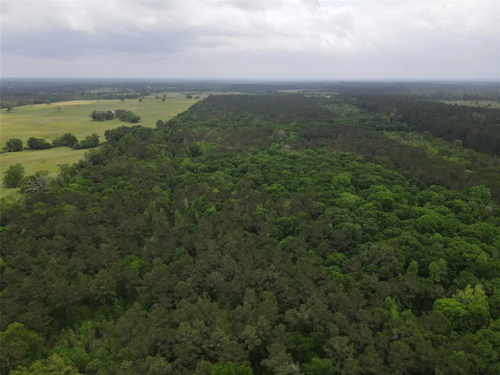 Fm 2110 Crockett, TX 75835