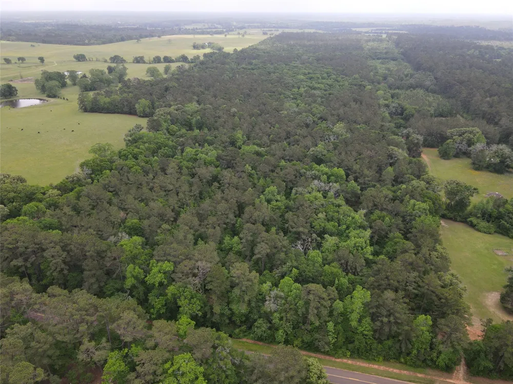 Fm 2110 Crockett, TX 75835