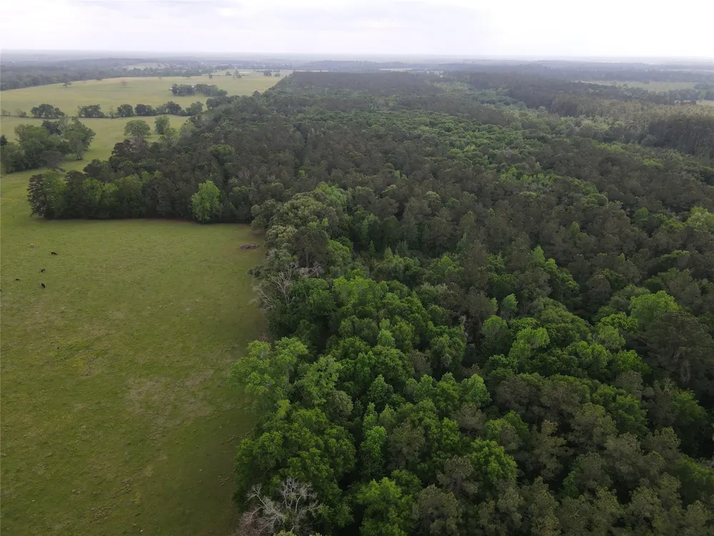 Fm 2110 Crockett, TX 75835