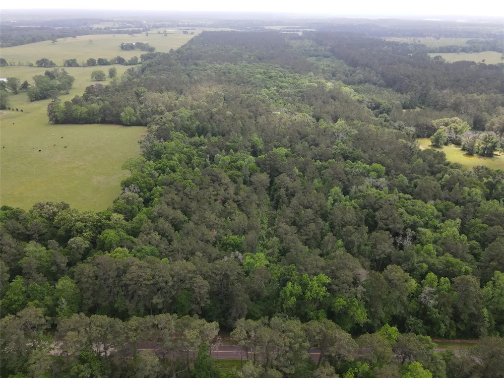 Fm 2110 Crockett, TX 75835