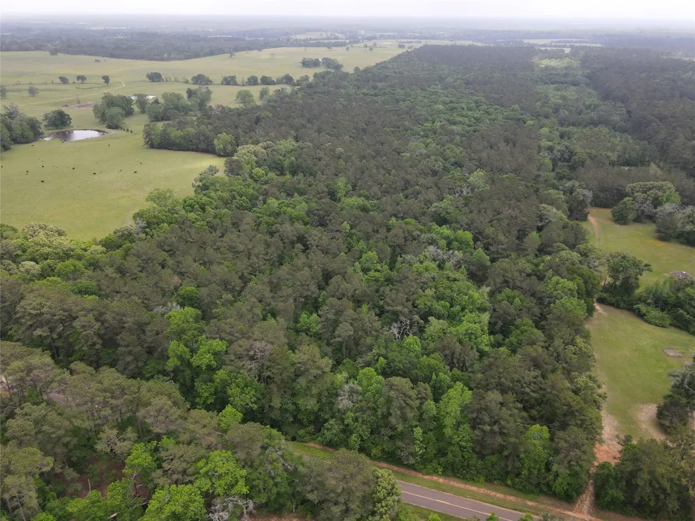 Fm 2110 Crockett, TX 75835