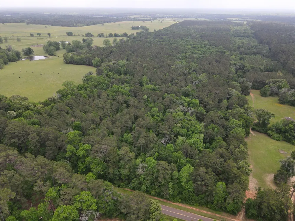 Fm 2110 Crockett, TX 75835