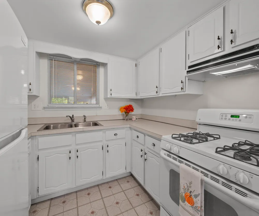 61119 Heritage Boulevard #3 South Lyon, MI 48178